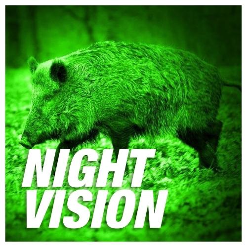 Night Vision - Gun City