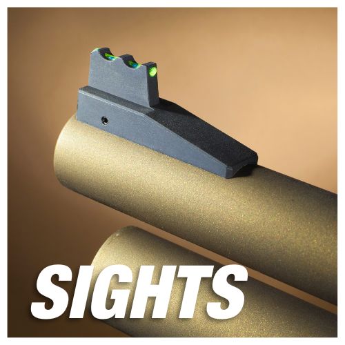 Sights for Rifles - Gun City