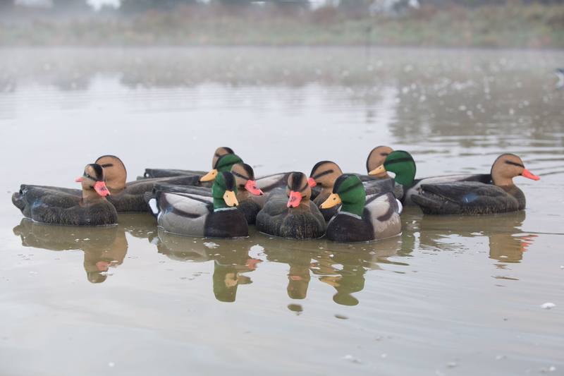 Buy Game On Full Size Flocked Mallard Decoy Family: 12-Pack in NZ New Zealand.