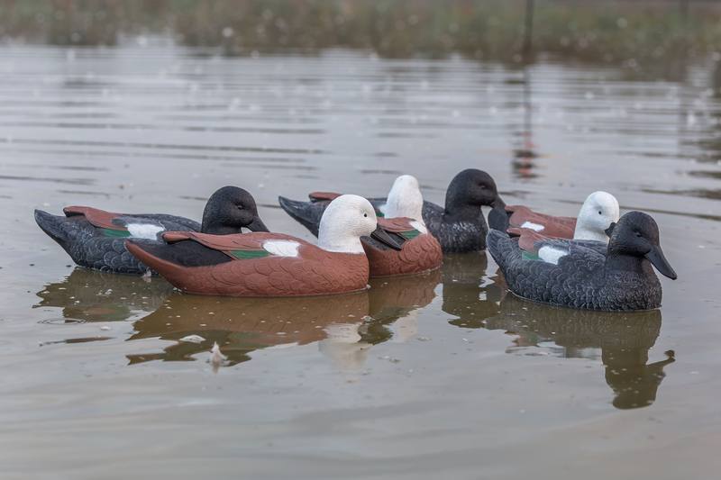 Buy Game On Premier Series Paradise Duck Swimming Decoy Family: 6-Pack in NZ New Zealand.