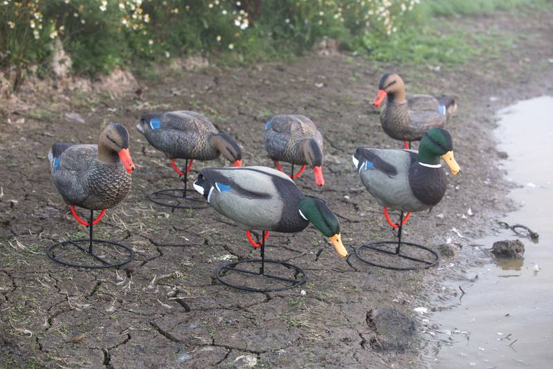 Buy Game On Full Body Mallard Field Decoys: Family Pack in NZ New Zealand.