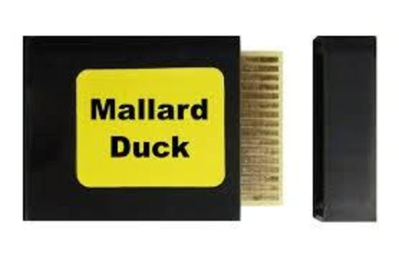 Buy AJ Prod Sound Card Mallard Duck in NZ New Zealand.