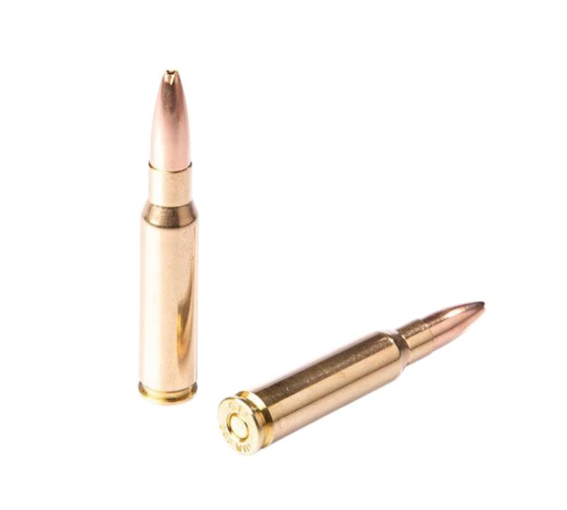 Buy Fiocchi 308 165gr Hollow Point Boat Tail Sierra Game King ZetaPi Lead Free in NZ New Zealand.