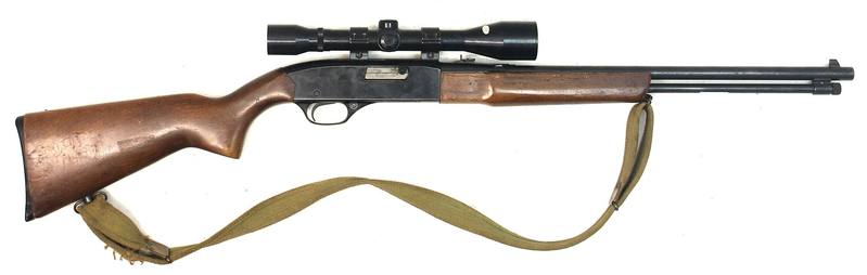 Buy 22 Winchester 190 Blued Wood in NZ New Zealand.