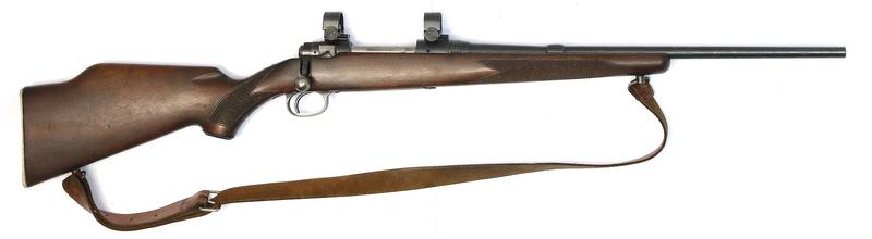 Buy 243 Savage 110 Blued Wood in NZ New Zealand.