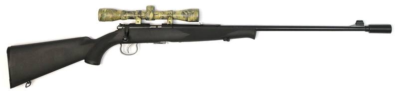 Buy 22 Norinco JW15 Synthetic with Scope & Silencer in NZ New Zealand.