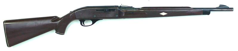 Buy 22 Remington Nylon 66 in NZ New Zealand.