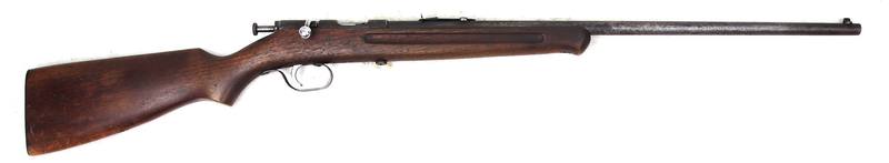 Buy 22 Remington 33 in NZ New Zealand.