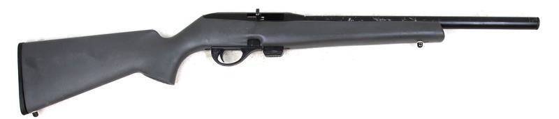 Buy 22 Remington 597 in NZ New Zealand.