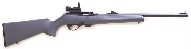 Buy 22 Remington 597 with Red Dot in NZ New Zealand.