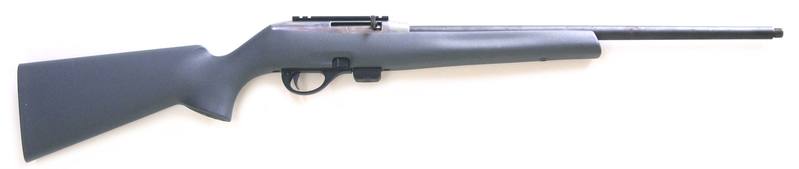 Buy 22 Remington 597 in NZ New Zealand.