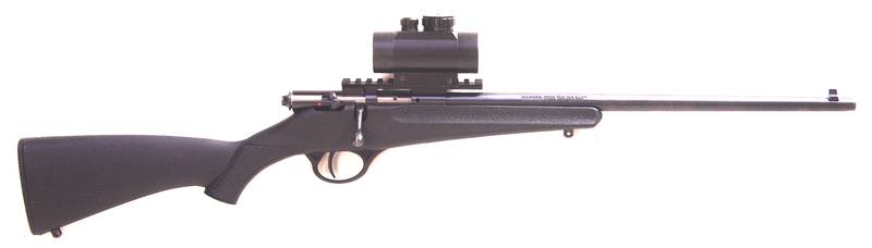 Buy 22 Savage Rascal Blued/Synthetic Red Dot in NZ New Zealand.