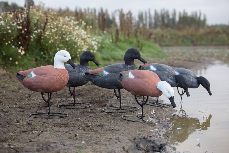 Buy Game On Full Body Paradise Field Decoy Family: 6-Pack in NZ New Zealand.