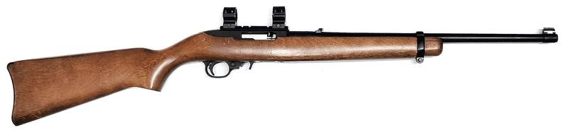 Buy 22 Ruger 10/22 Blued Wood 18" in NZ New Zealand.