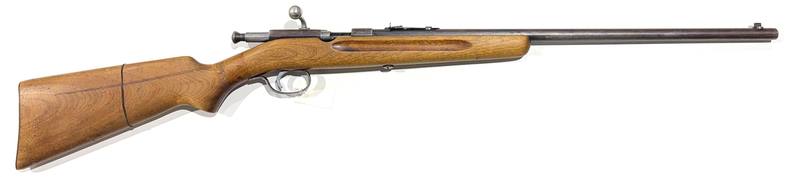 Buy 22 Springfield 82 22" in NZ New Zealand.