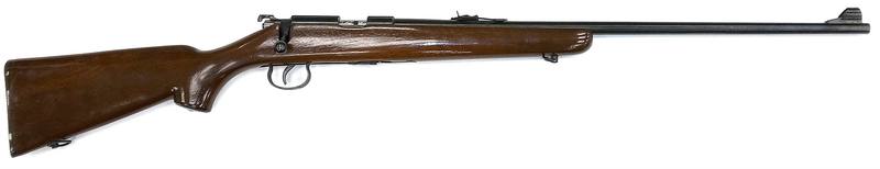 Buy 22 Norinco JW-15A Blued Wood 24" in NZ New Zealand.