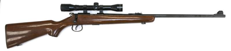 Buy 22 Norinco JW15a Wood 24" with Scope in NZ New Zealand.