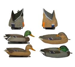 Buy Waterflower Ultimate 16" Mixed Mallard Decoys | 12 Pack in NZ New Zealand.