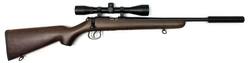 Buy 22 Norinco JW15A Wood 16" with Scope & Silencer in NZ New Zealand.