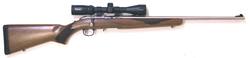 Buy 22 Ruger American Stainless Wood with Scope in NZ New Zealand.