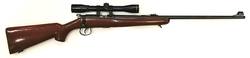 Buy 22 Norinco JW-15A Wood 22.5" with Nikko 4x32 Scope in NZ New Zealand.