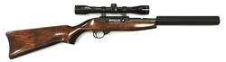 Buy 22 Ruger 10/22 Blued Wood with Scope & Silencer in NZ New Zealand.